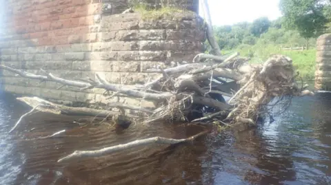 National Highways A view of the base of one of the pillars of the bridge standing in the dark water of the river. A very large fallen tree is jammed against the upriver face of the pillar.