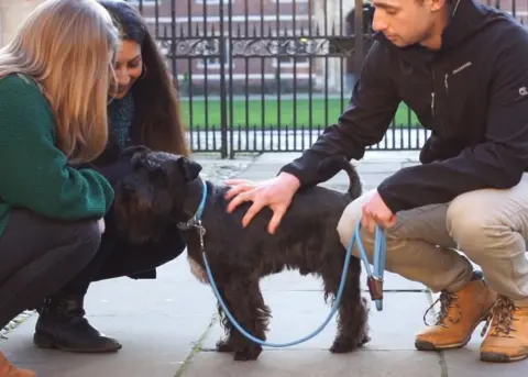 St Catharine's College Toby the dog