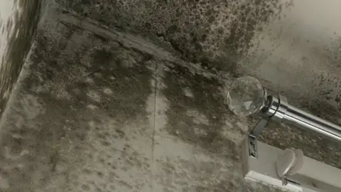 BBC Damp in a house in Torquay