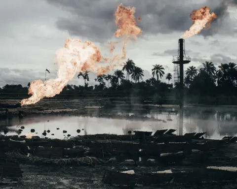 Robin Hinsch The wetlands of the Niger Delta