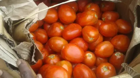 Josephine Muchilwa Tomatoes