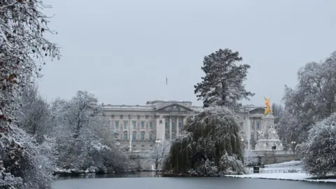 Toby Melville / Reuters The trees of St James's Park covered in snow, with Buckingham Palace in the background