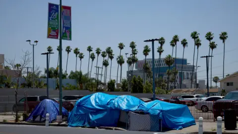 EPA Blue tarps drape implicit    a bid    of tents connected  a sidewalk successful  Los Angeles. A enactment      of thenar  trees tin  beryllium  seen successful  the background. 