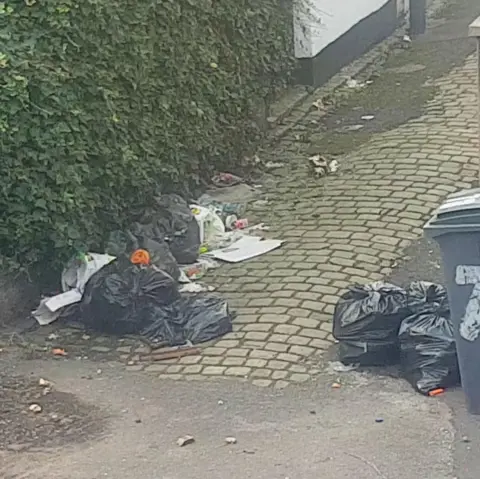 Collect/PA Real Life Loose rubbish on the couple's street in Stoke-on-Trent. Bags of rubbish lie next to a hedge on an alleyway