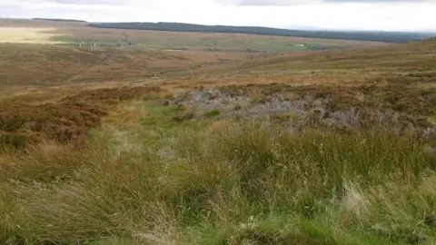 Richard Webb Langholm Moor