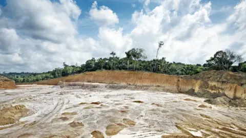 Getty Images Deforestation reached record highs in the Amazon under President Bolsonaro