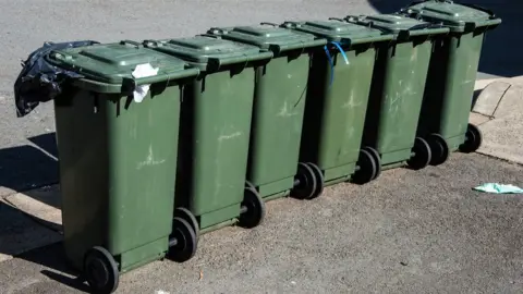 Getty Images Green wheelie bins lined up on a street