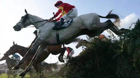 Horse jumps fence in Grand National