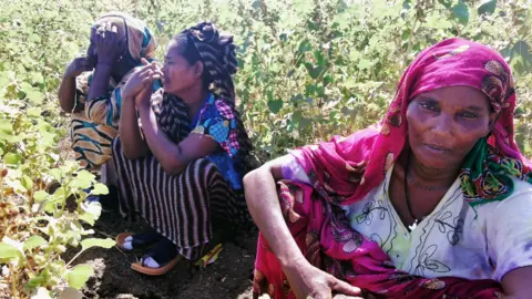 Reuters Ethiopian women, who fled the ongoing fighting in Tigray region, at the al-Fashqa refugee camp in Sudan's eastern Kassala state -13 November 2020