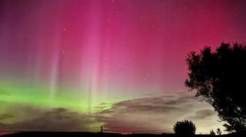 Happy Snapper A predominantly pink blend of the northern lights, a silhouette of a tree is to the right of the frame, a telephone wire runs along the bottom of the shot 