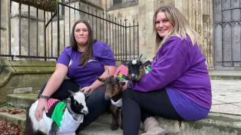 Jo Makel/BBC News Two women, wearing purple t-shirts and black trousers sit on stone steps outside Beverley Minster. The woman on the left has long dark hair. the woman on the right has long blonde hair. They are both smiling at the camera. Between them are three miniature goats wearing Christmas animal jumpers.