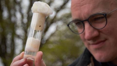 James Gallagher looking at vial of ticks collected from field search