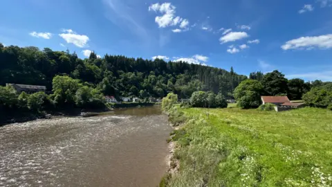 A grass bank next to the River Wye on a sunny day with a forested area in the background and a row of houses in the distance