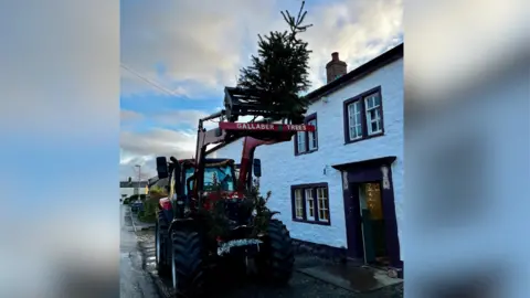 Management Team, Punch Bowl Inn, Burton in Lonsdale A Christmas tree is delivered by a tractor to the Punch Bowl inn.
