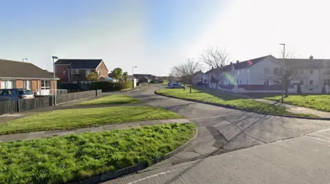 A screengrab of a Google Streetview image of Bristol Park, Newtownards on a sunny day.  The street is a mixture of red brick and white rendered houses of different sizes, including terraced properties and bungalows. A number of trees line grassed areas along the roadside. 