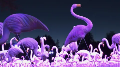 A flock of animated purple light-up flamingos are pictured in the dark