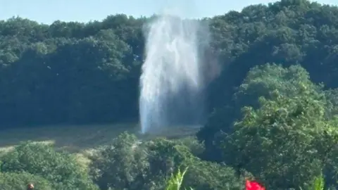 Michelle Gascoigne Water is shooting into the air from the ground. There is greenery around this. 
