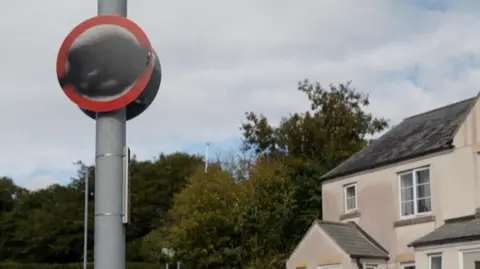 A road speed limit sign which has been spray-painted in front of trees and a house