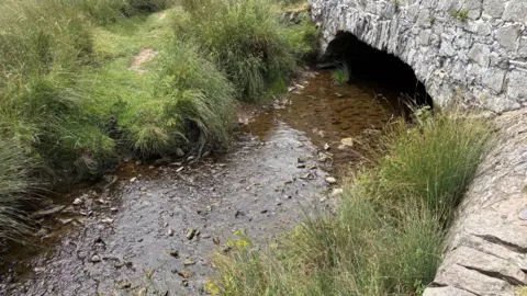 BBC A waterway under a bridge