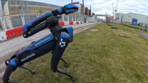 Sellafield Ltd A robotic black dog-shaped system. It has blue panels and has four legs similar to a dogs. 