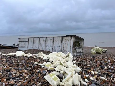 Container on the shore with debris in front of it