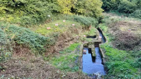 Fernhurst Furnace Trust A brick-lined stream in an overgrown patch of forest