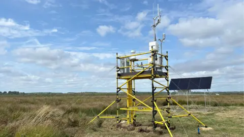 Alex Cumming The new flux tower at Arne Moor. It is a cloudy day.
