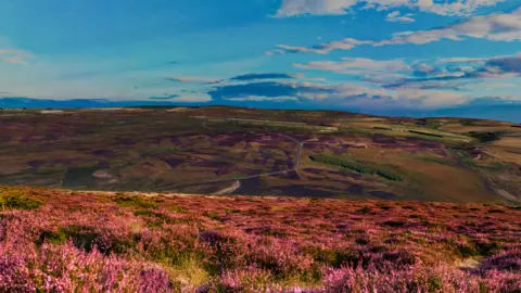 SDC A computer generated view of the data centre where it is almost invisible against a moorland hillside