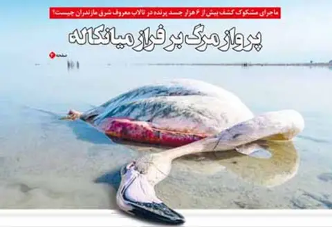 Ebtekar Front page image of dead flamingo, Ebtekar newspaper, Iran, January 2020