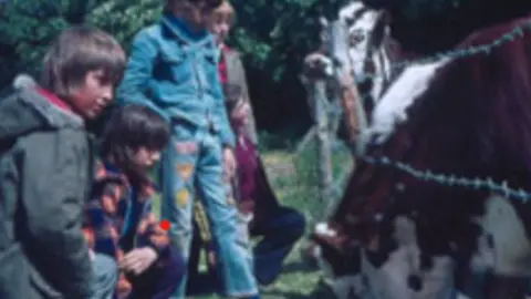 Five boys, with clothing and hairstyles indicating the picture was likely taken in the 1970s, stand in front of a barbed wire fence behind which two red and white coloured cows are grazing