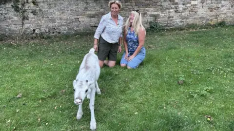 Kate Bradbrook/BBC Angie Nelson kneels on the grass next to her friend but is keeping an eye on the reindeer, that is looking at the camera. Helen Chown is wearing a blue patterned top and denim bottoms. 