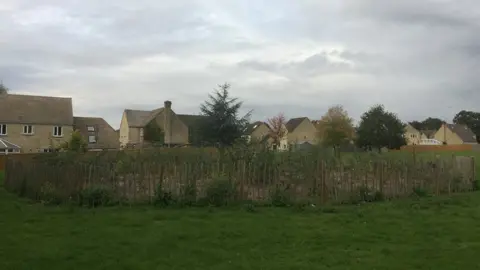 Earthwatch Tiny Forest growth six months after planting