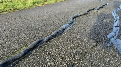 snake like formations on a grey road 