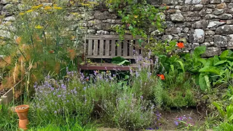 Pam Wood A garden bench surrounded by colourful plants such as lavender in an allotment plot in Greystoke.