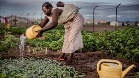 Getty Images Woman carrying a baby waters vegetables on Friday 4 October 2019