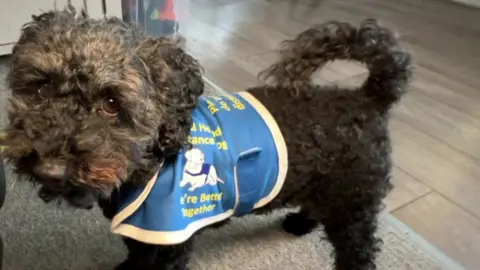 BBC Tinker, Assistance Dog