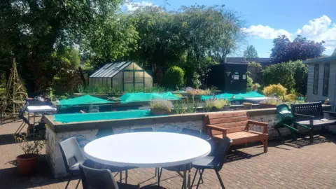A small public garden with raised beds with green netting and potted plants in them, with trees and a greenhouse and shed in the back. Various benches and seats can be seen at the front.