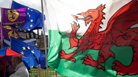 A set of flags next to each other. A large Welsh dragon features next to some European Union and UK Independence Party flags.