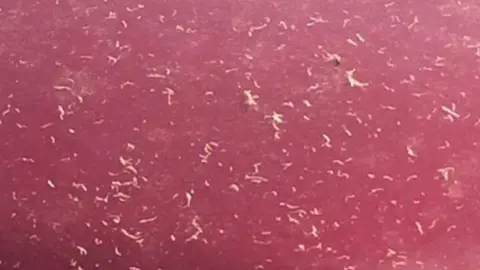 Stop Kronospan Pollution/Facebook Dust from Kronospan left on cars