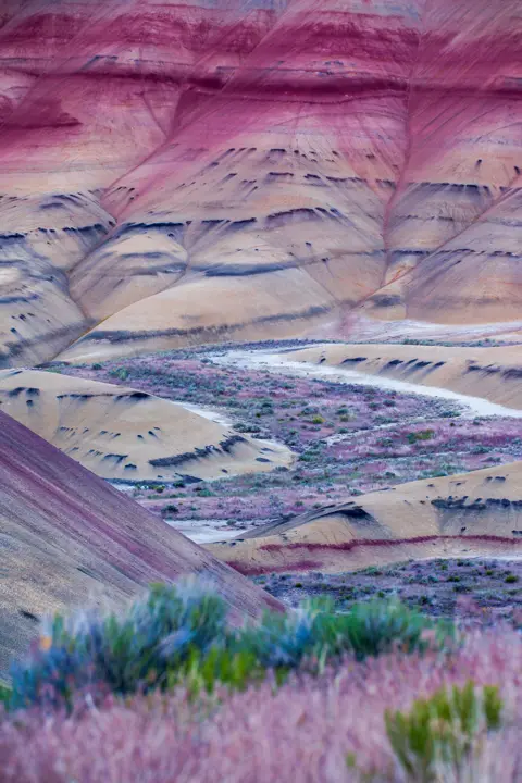 Xin Zhong A landscape view of the Painted Hills in Oregon, US