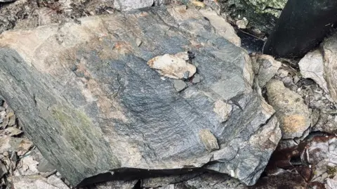 A slate chunk which has fallen from the bank onto the floor next to the cottage