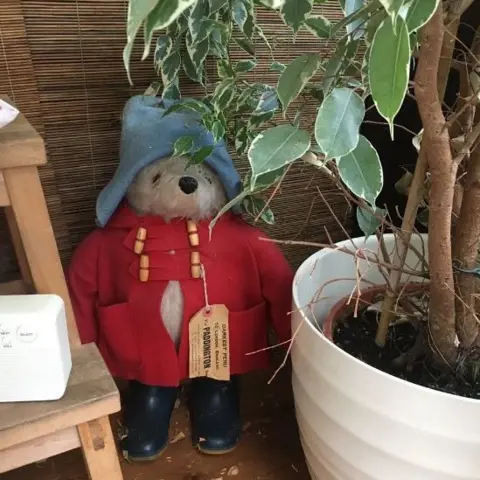 David M Barnett Paddington Bear toy