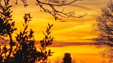 A mainly yellow sky with trees to the left and right of the image.