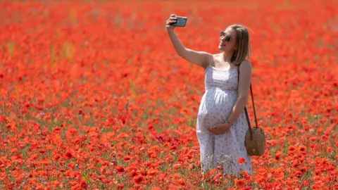 PA Media A woman in a field of poppies in Bramford, Suffolk