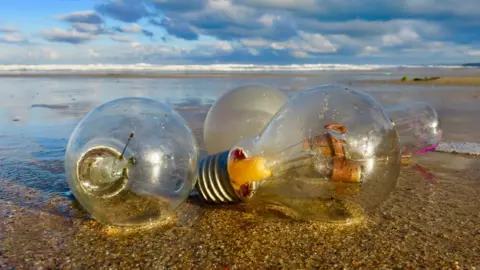 Tracey Williams Light bulbs on the sand