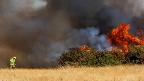 Renoufdesign.co.uk Fire on Pennington Common