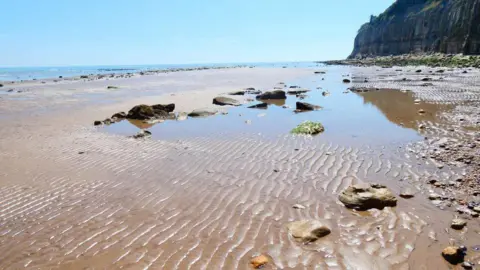 Andy Chapman  Wet send on a beach. Blue skies over the sea.