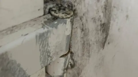 Laura-May White wall with some large pipes visible, showing streaks and spores of black mould