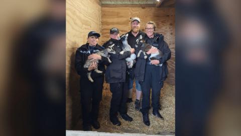 A group of police, and the owner, holding the goats