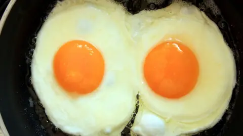 Two fried eggs